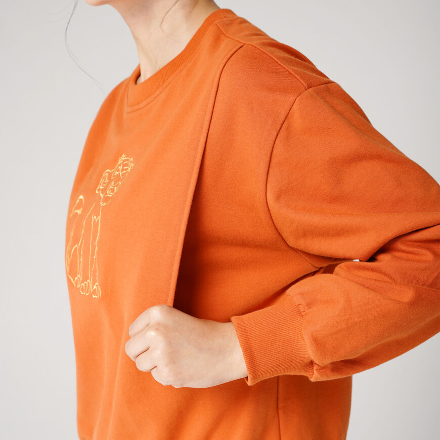 Fina Teracota - Image 4